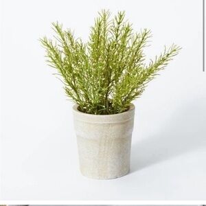 Studio mcgee rosemary plant NWT
